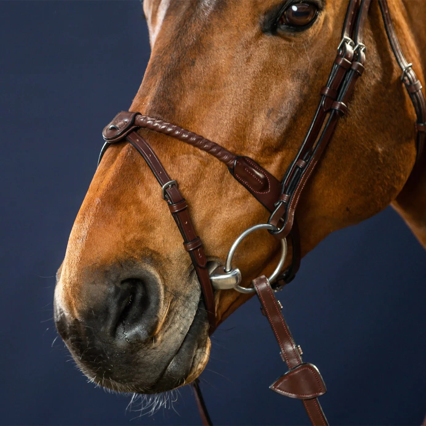 Dy'on New English Leather-Covered Rope Noseband Bridle - Brown