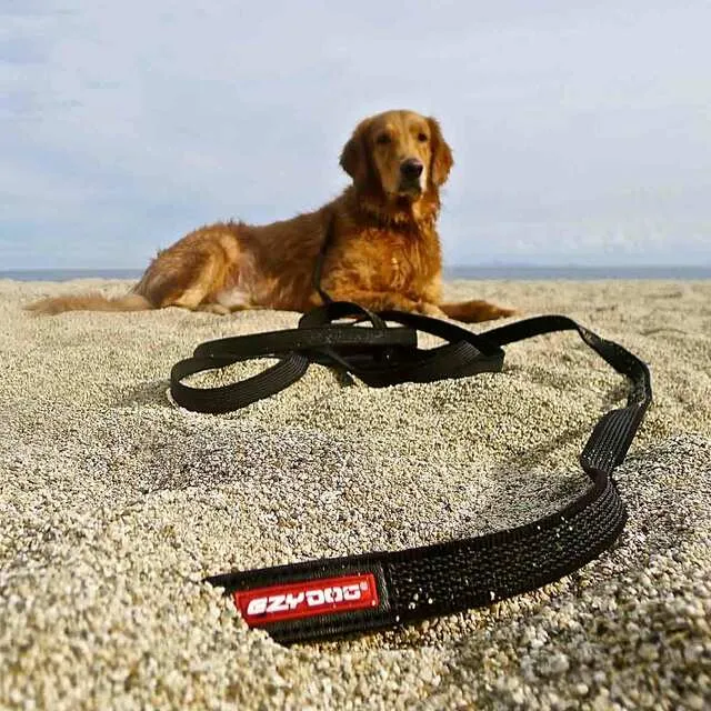 EzyDog Track n Train Dog Lead Black