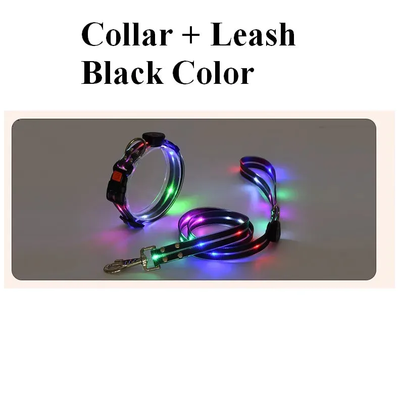 Pet Dog LED Light-Up Leash – USB Rechargeable, PVC & Webbing Glowing Leash for Night Walking